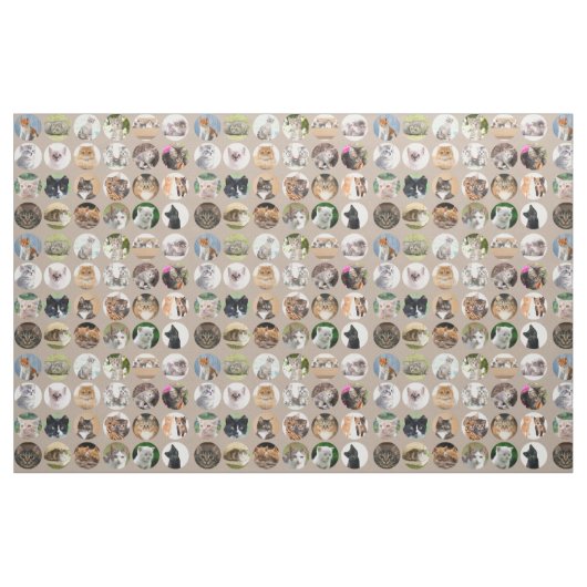 Clever Cats Fabric Stoff (Fat Quarter (45,7 x 55,9 cm))