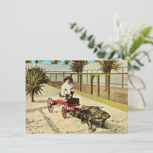 Clever Florida Alligator Ankündigung (Stehend Vorderseite)