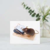 Clever Mouse Postkarte (Stehend Vorderseite)