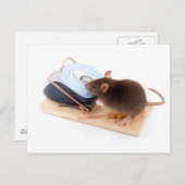Clever Mouse Postkarte (Vorne/Hinten)