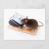 Clever Mouse Postkarte (Vorderseite)