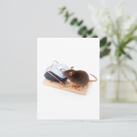 Clever Mouse Postkarte (Stehend Vorderseite)