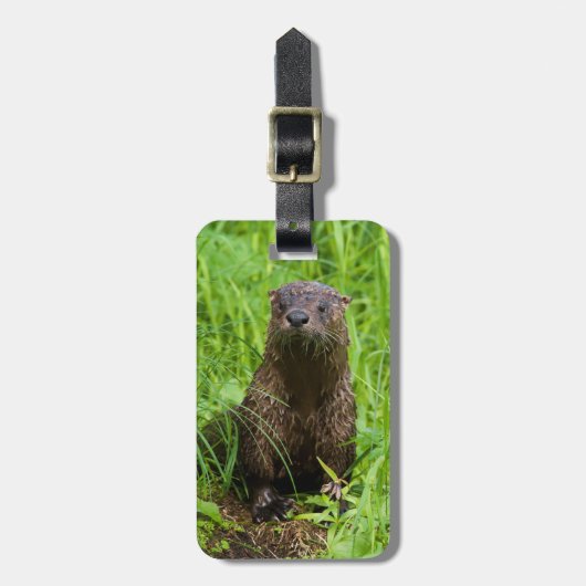 Clever River Otter Gepäckanhänger (Vorderseite vertikal)