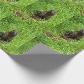Clever River Otter Geschenkpapier (Ecke)