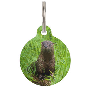 Clever River Otter Haustiermarke