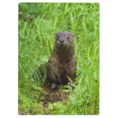 Clever River Otter Klemmbrett (Rückseite)