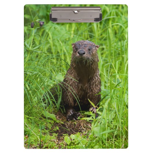 Clever River Otter Klemmbrett (Vorderseite)
