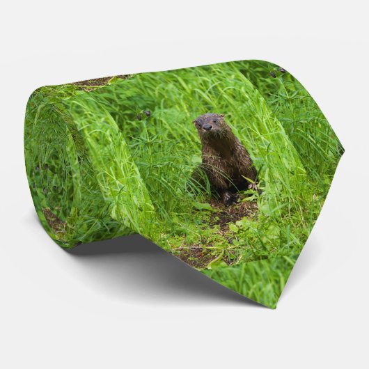 Clever River Otter Krawatte (Gerollt)