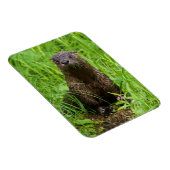 Clever River Otter Magnet (Rechte Seite)