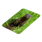 Clever River Otter Magnet (Linke Seite)