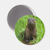 Clever River Otter Magnet (Vorderseite/Rückseite)