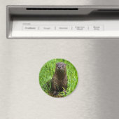 Clever River Otter Magnet (In Situ (Geschirrspüler))