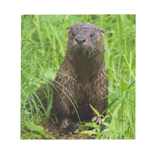 Clever River Otter Notizblock (Vorderseite)