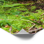 Clever River Otter Poster (Ecke)