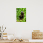 Clever River Otter Poster (Küche)