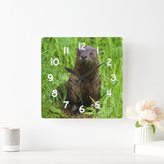 Clever River Otter Quadratische Wanduhr (Zuhause)