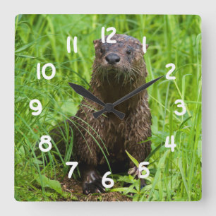 Clever River Otter Quadratische Wanduhr