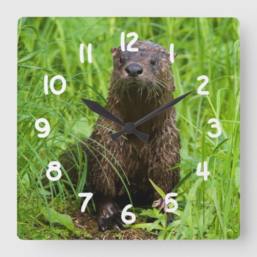Clever River Otter Quadratische Wanduhr (Vorderseite)