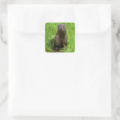 Clever River Otter Quadratischer Aufkleber (Tasche)