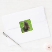 Clever River Otter Quadratischer Aufkleber (Umschlag)