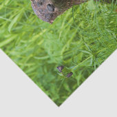 Clever River Otter Seidenpapier (Ausschnitt)