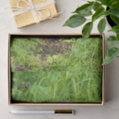 Clever River Otter Seidenpapier (Geschenk)