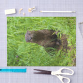 Clever River Otter Seidenpapier (Handwerk)