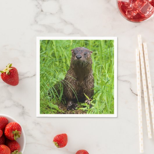 Clever River Otter Serviette (Beispiel)