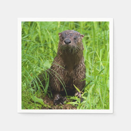 Clever River Otter Serviette (Vorderseite)