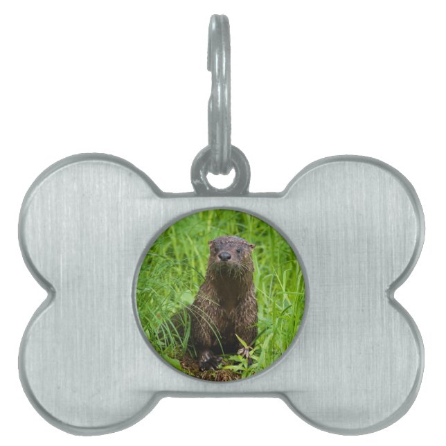 Clever River Otter Tiermarke (Vorderseite)