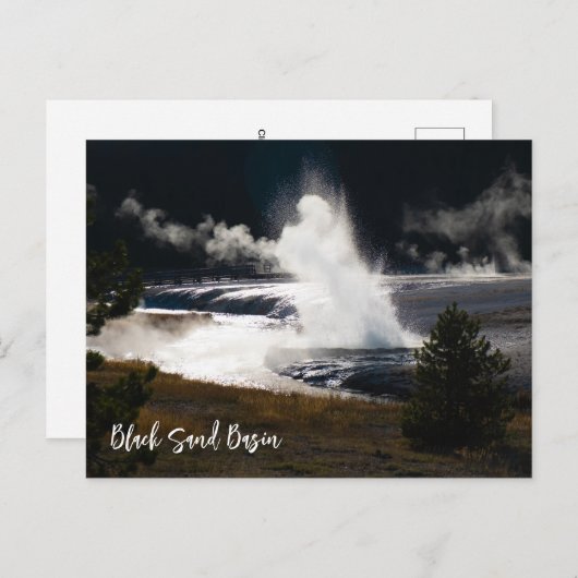Cliff Geyser Eruption Black Sand Becken Yellowston Postkarte (Vorne/Hinten)