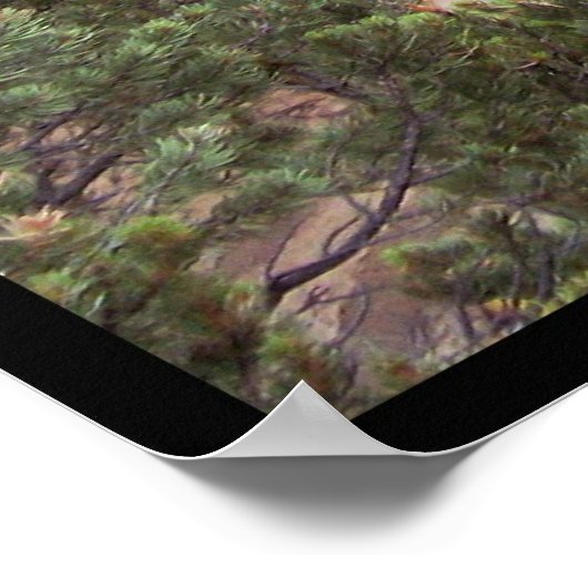 Cliff Palace Poster (Ecke)