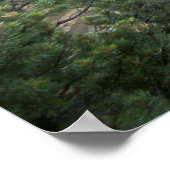 Cliff Palace Wide View Poster (Ecke)