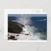 Cliff Walk bei Newport, RI Postkarte (Vorne/Hinten)