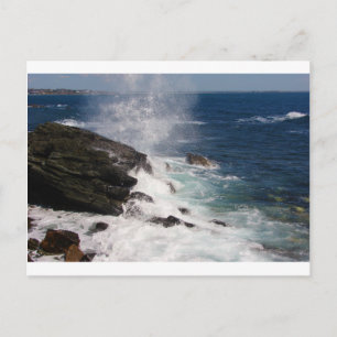 Cliff Walk bei Newport, RI Postkarte