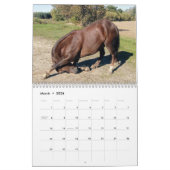 Clifford 2019 der Morgan-Pferdewandkalender Kalender (Mär 2026)