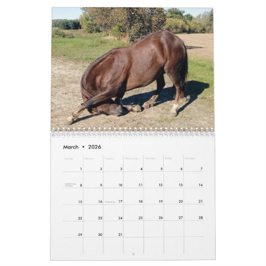 Clifford 2019 der Morgan-Pferdewandkalender Kalender (Mär 2026)