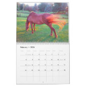 Clifford 2019 der Morgan-Pferdewandkalender Kalender (Feb 2026)