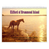 Clifford 2019 der Morgan-Pferdewandkalender Kalender (Titelbild)