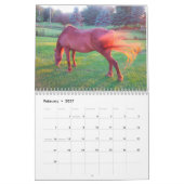 Clifford 2019 der Morgan-Pferdewandkalender Kalender (Feb 2027)