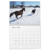 Clifford das Morgan-Pferd Kalender (Jan 2026)