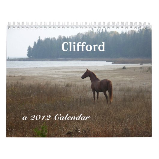 Clifford der Kalender Morgan-Pferd2012 (Titelbild)