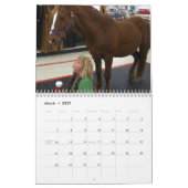 Clifford der Kalender Morgan-Pferd2012 (Mär 2027)