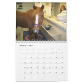 Clifford der Kalender Morgan-Pferd2012 (Jan 2027)