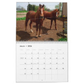 "Clifford Kalenders des Drummond Insel-" 2018 Kalender (Mär 2026)