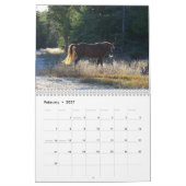 Clifford von Drummond Insel Kalender (Feb 2027)