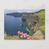 Cliffs of Moher, Ireland Postcard Postkarte (Vorderseite)