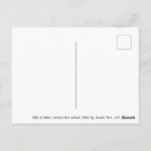 Cliffs of Moher Ireland Watercolor Postcard Postkarte (Rückseite)