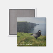 Cliffs of Moher, Irland Souvenir Magnet (Vorderseite/Rückseite)