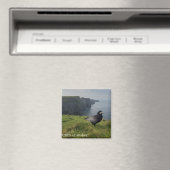 Cliffs of Moher, Irland Souvenir Magnet (In Situ (Geschirrspüler))